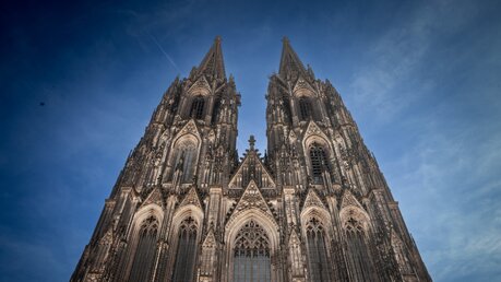 Blick auf den Kölner Dom / © BalkansCat (shutterstock)