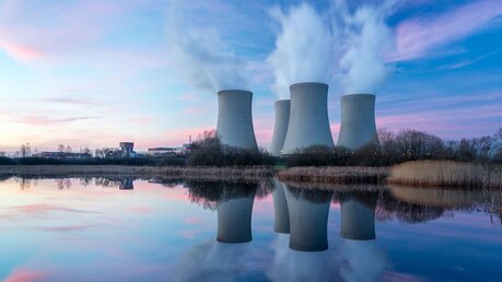 Kühltürme eines Atomkraftwerks / © vlastas (shutterstock)