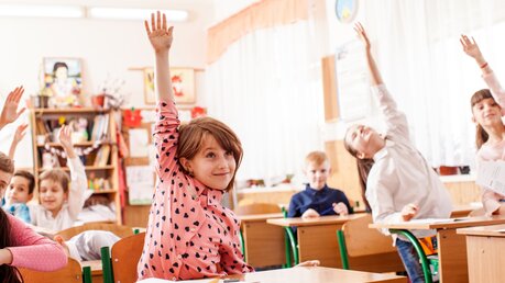 Schüler recken den Arm im Unterricht / © Sunflower Light Pro (shutterstock)