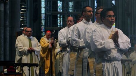 Priesterweihe im Kölner Dom 2011 1 / © Robert Boecker (DR)