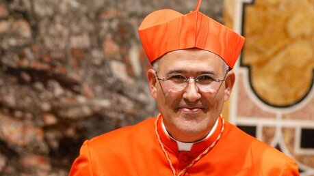 Kardinal Jose Tolentino Mendonca, Archivar und Bibliothekar der Heiligen Römischen Kirche / © Paul Haring/Romano Siciliani (KNA)