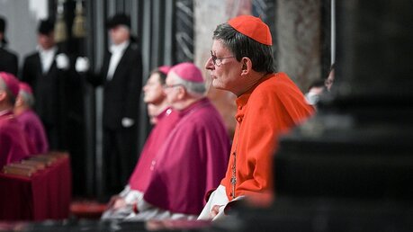 Kardinal Rainer Maria Woelki (Archiv) / © Julia Steinbrecht (KNA)