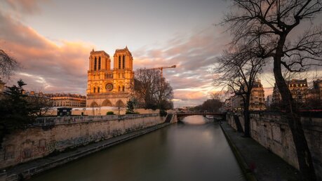 Kathedrale Notre-Dame in Paris / © Jorge Argazkiak (shutterstock)