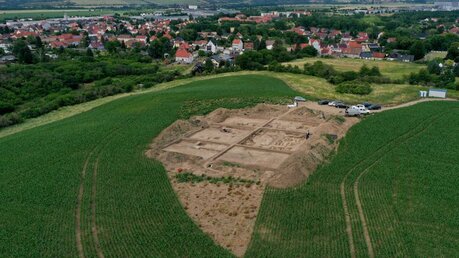 Kirche auf der einstigen Königspfalz Helfta wird ausgegraben  / © Ronny Hartmann (dpa)
