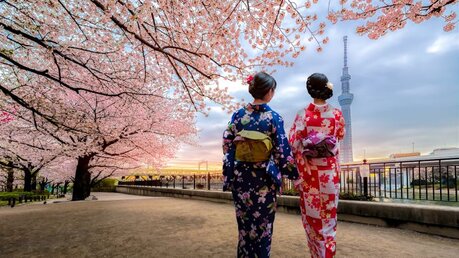 Kirschblüte in Tokio / © Phattana Stock (shutterstock)
