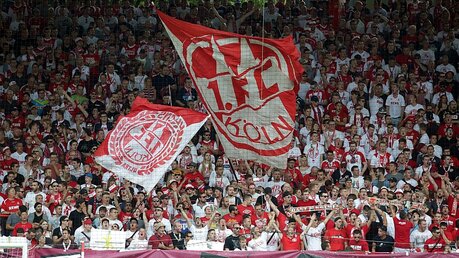 Fans des 1. FC Köln / © Jörg Carstensen (dpa)
