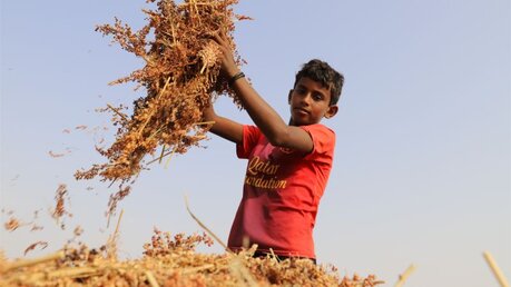 Kardinal Schönborn ruft zu Einsatz gegen Kinderarbeit auf / © Mohammed Alwafi (dpa)