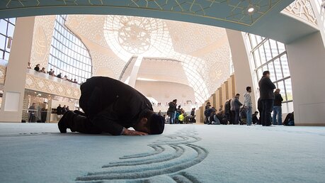 Einblicke in Moscheen in Deutschland / © Rainer Jensen (dpa)