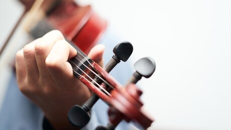 Musiker mit einer Geige / © Daniil Cherepanov (shutterstock)