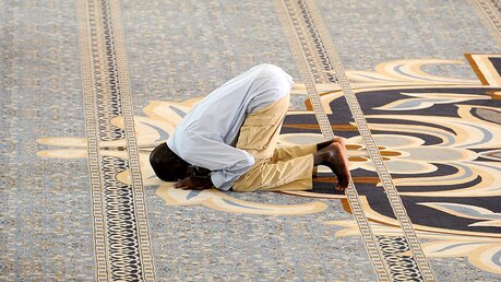 Muslim beim Gebet / © Wolfgang Radtke (KNA)