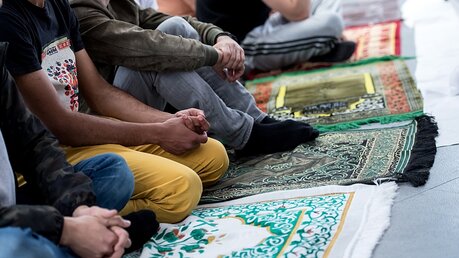 Muslime im Gebet / © Sven Hoppe (dpa)