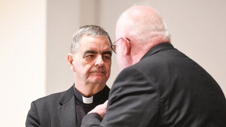 Nikola Eterovic (l.) im Gespräch mit Kardinal Reinhard Marx (Archiv) / © Harald Oppitz (KNA)