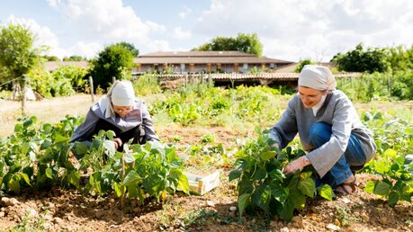 Ordensschwestern bei der Gartenarbeit / © Thomas Louapre (KNA)
