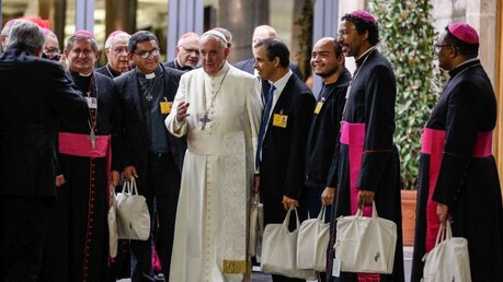 Papst Franziskus mit Bischöfen / © Paul Haring/CNS photo (KNA)