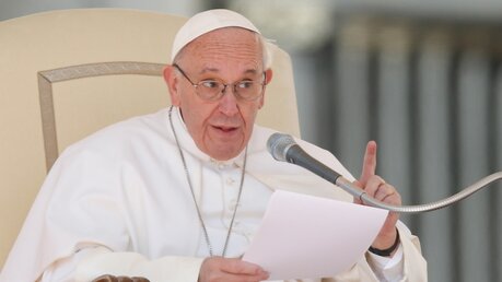 Papst Franziskus mit erhobenem Zeigefinger / © Paul Haring/CNS Photo (KNA)