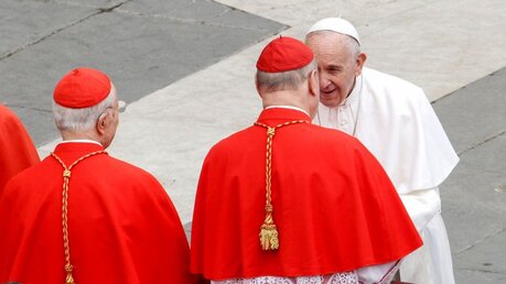 Papst Franziskus mit Kardinälen / © Riccardo De Luca (shutterstock)