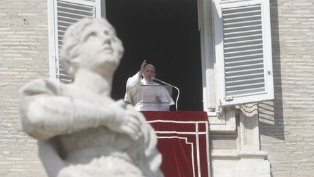 Papst Franziskus spricht von seinem Atelierfenster aus mit Blick auf den Petersplatz zu den Gläubigen / © Gregorio Borgia/AP (dpa)