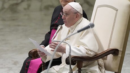 Papst Franziskus spricht während seiner wöchentlichen Generalaudienz im Vatikan am 18. August 2021.  / © Gregorio Borgia/AP (dpa)