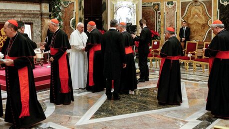 Papst Franziskus trifft Vertreter der römischen Kurie (Archiv) / © Paul Haring/Romano Siciliani (KNA)