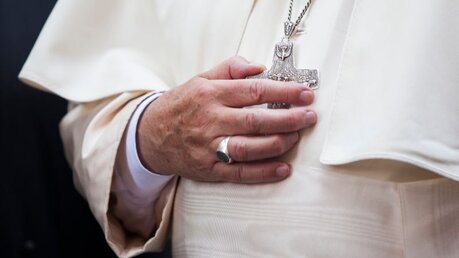 Papst Franziskus / © GYG Studios (shutterstock)