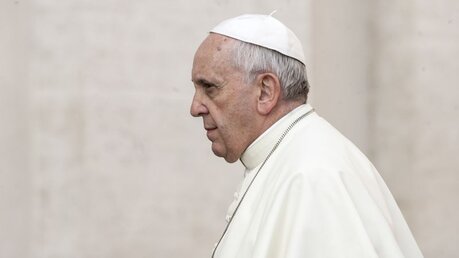 Papst Franziskus / © giulio napolitano (shutterstock)