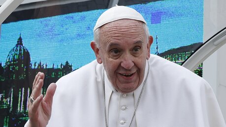 Papst Franziskus winkt / © Paul Haring (KNA)