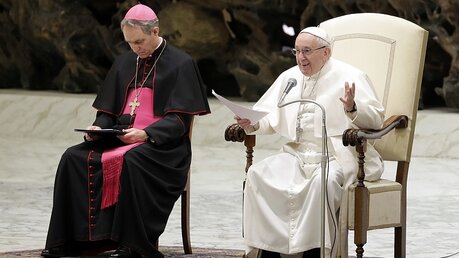 Generalaudienz mit Papst Franziskus / © Andrew Medichini (dpa)