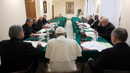 Papst Franziskus mit dem Kardinalsrat im Februar 2017 / © Osservatore Romano (dpa)