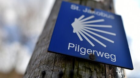 Ein Schild markiert am 28.03.15 in Eisleben den St. Jakobus Pilgerweg. (dpa)