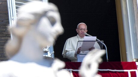Angelusgebet mit Papst Franziskus / © Claudio Peri (dpa)