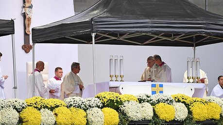 Papst Franziskus würdigte ausdrücklich die schwedischen Heiligen Birgitta und Maria Elisabeth Hesselblad. / © Ettore Ferrari (dpa)