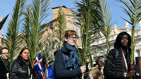 Prozession an Palmsonntag auf dem Petersplatz  / © Cristian Gennari/Romano Siciliani (KNA)