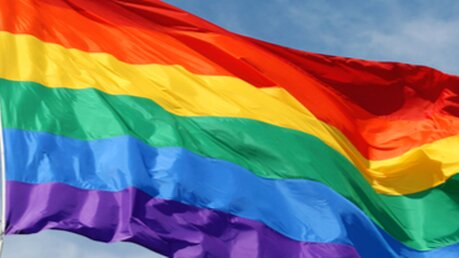 Regenbogenflagge als Symbol für Homosexualität / © Natasha Kramskaya (shutterstock)