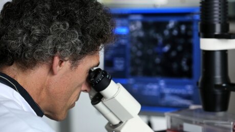Forscher untersucht künstlich hergestellte Stammzellen (dpa)