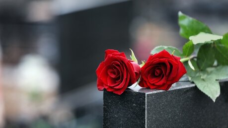 Rote Rosen als Zeichen der Trauer / © New Africa (shutterstock)