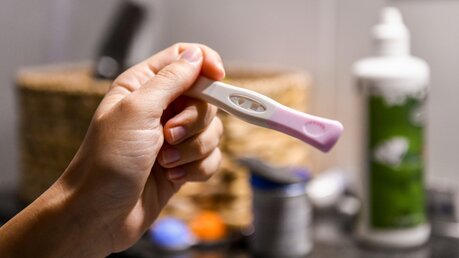 Schwangerschaftstest / © Harald Oppitz (KNA)