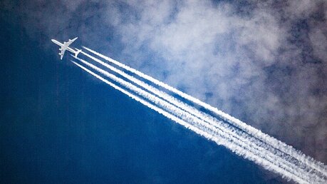 Statt weniger fliegen die Menschen immer mehr / ©  Federico Gambarini (dpa)