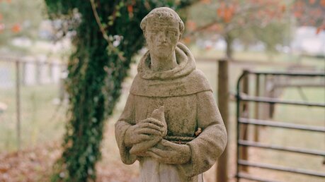 Statue des heiligen Franz von Assisi / © Isabelle Baldwin (KNA)