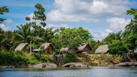 In Surinam dringt die Bevölkerung weiter in den Dschungel vor / © Christina Weise (KNA)