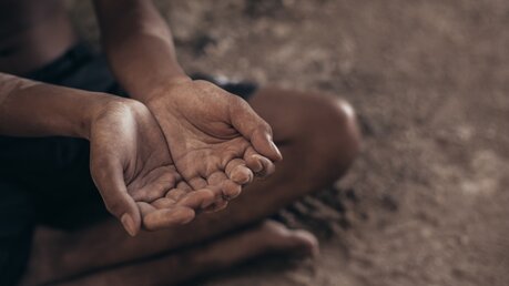 Die Welternährungsorganisation setzt sich für eine Welt ohne Hunger ein / © panitanphoto (shutterstock)