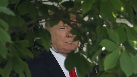 Trump im Rosengarten vom Weißen Haus / © Pablo Martinez Monsivais (dpa)
