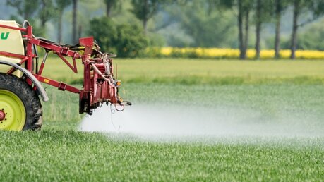 Umstritten: Pestizide auf deutschen Feldern / © Patrick Pleul (dpa)