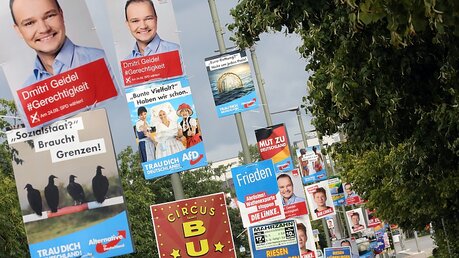 Wahlplakate für die Bundestagswahl 2017 / © Wolfgang Kumm (dpa)