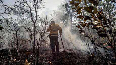 Waldbrände im Amazonasgebiet / © Gabriela Biló (dpa)