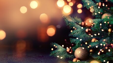 Weihnachtsbaum / © IgorAleks (shutterstock)