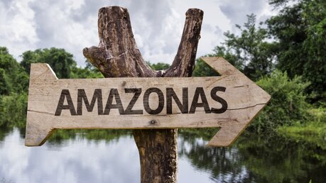Vom 6. bis zum 27. Oktober findet die Amazonas-Synode statt (shutterstock)