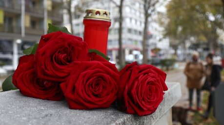 Wien: Rote Rosen und eine Kerze in Gedenken an die Opfer des Terroranschlags / © Matthias Schrader (dpa)