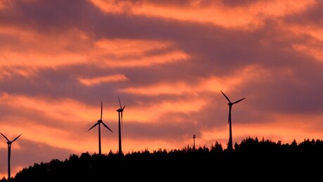 Windräder für Energiewende? (dpa)
