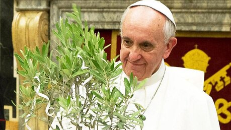 Papst Franziskus mit grüner Pflanze (dpa)