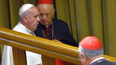 Papst Franziskus spricht mir Kardinal Lorenzo Baldisseri / © Ettore Ferrari (dpa)